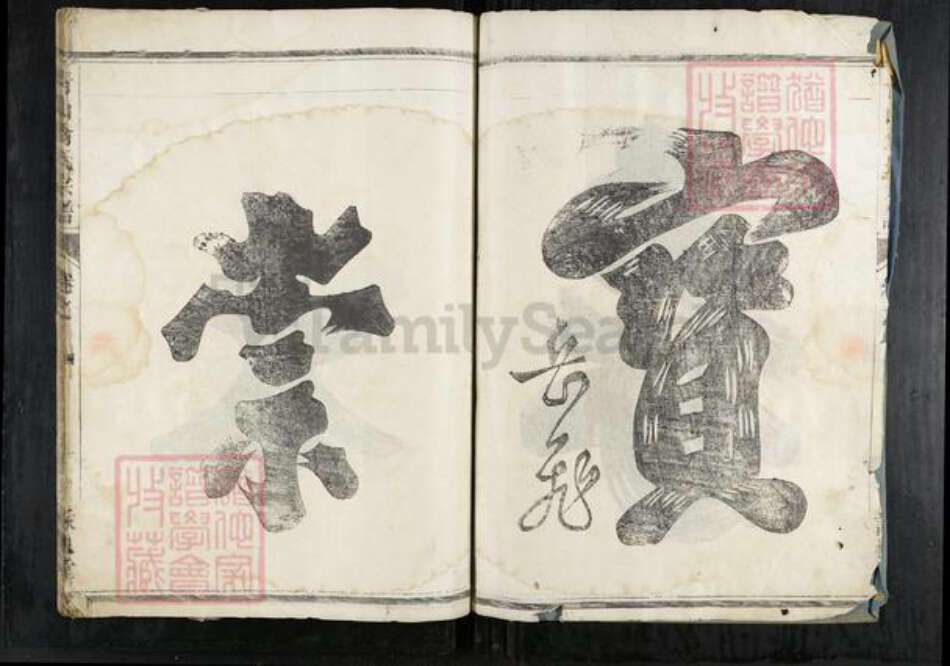 浙江省衢州龙游县石佛乡翁氏咏槐堂族谱-青山翁氏宗谱.pdf电子版预览图3