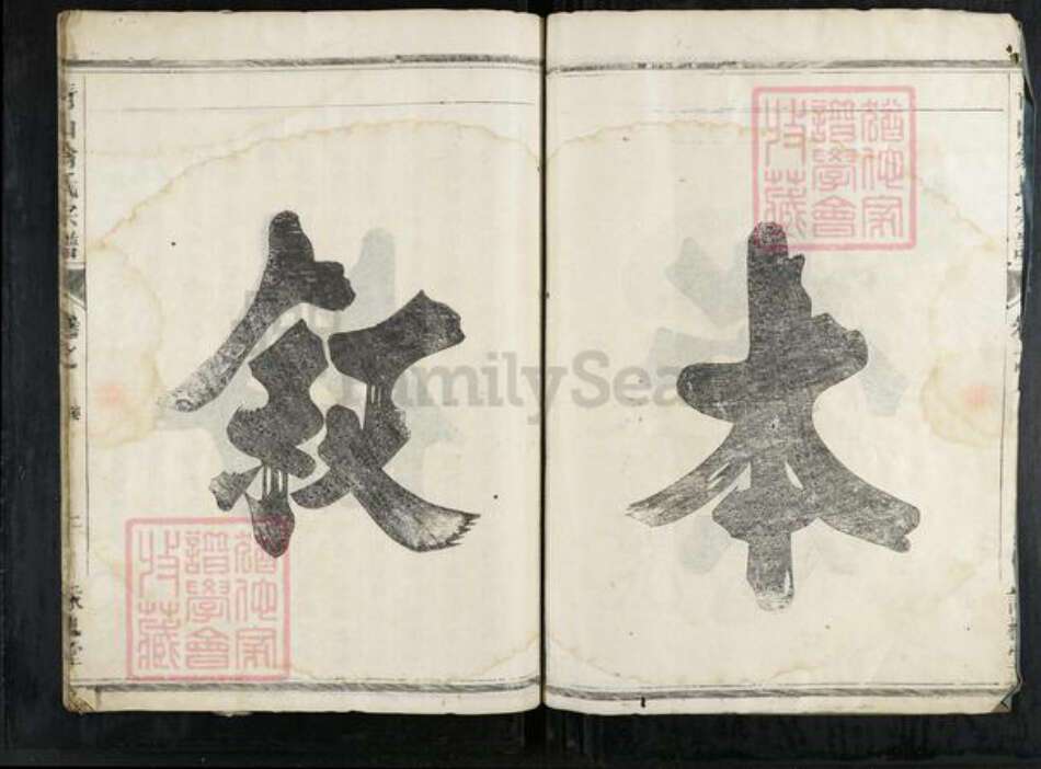 浙江省衢州龙游县石佛乡翁氏咏槐堂族谱-青山翁氏宗谱.pdf电子版预览图4