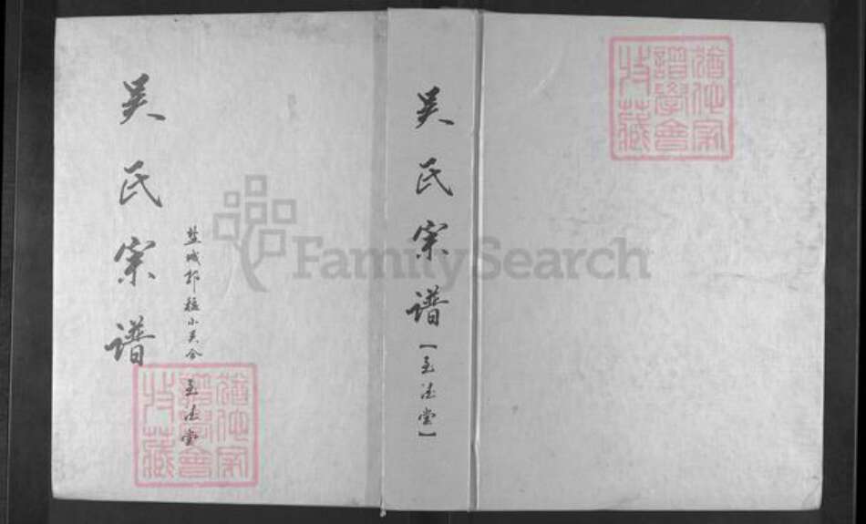 江苏省盐城市亭湖区吴氏至德堂族谱-吴氏宗谱.pdf电子版缩略图