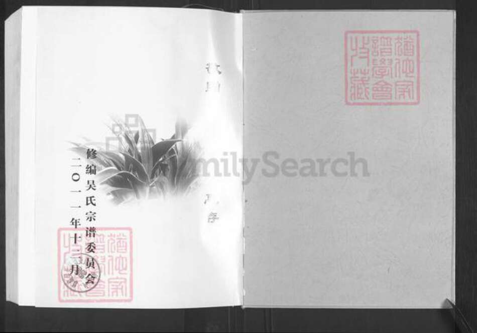 江苏省盐城市亭湖区吴氏至德堂族谱-吴氏宗谱.pdf电子版预览图1