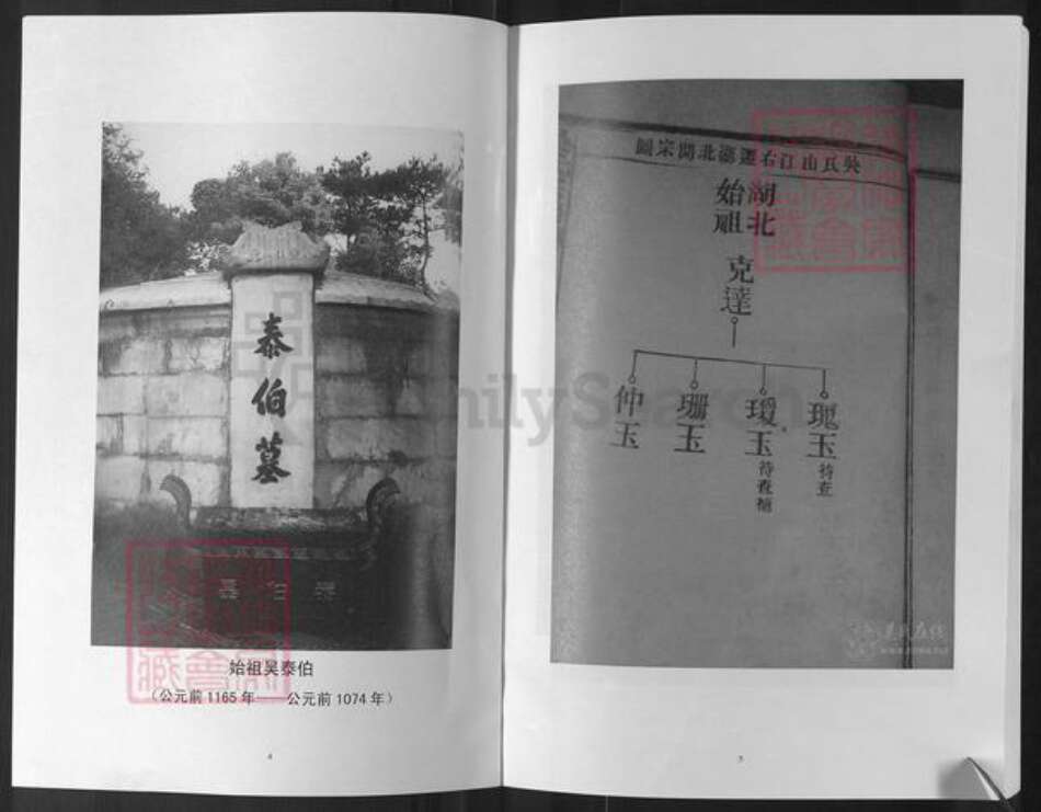 湖北省咸宁市崇阳县天城镇吴氏延陵堂族谱-湖北吴氏宗谱.pdf电子版预览图4