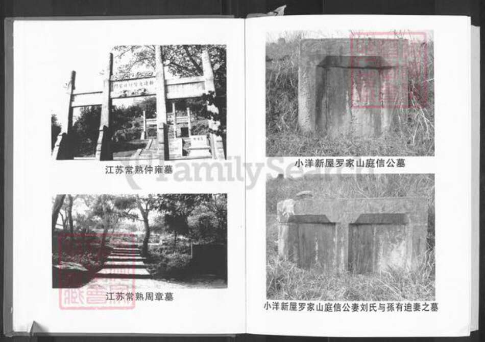 湖南省娄底市新化县曹家镇吴氏族谱-中华吴氏宗谱.廷信公系支谱.pdf电子版预览图5