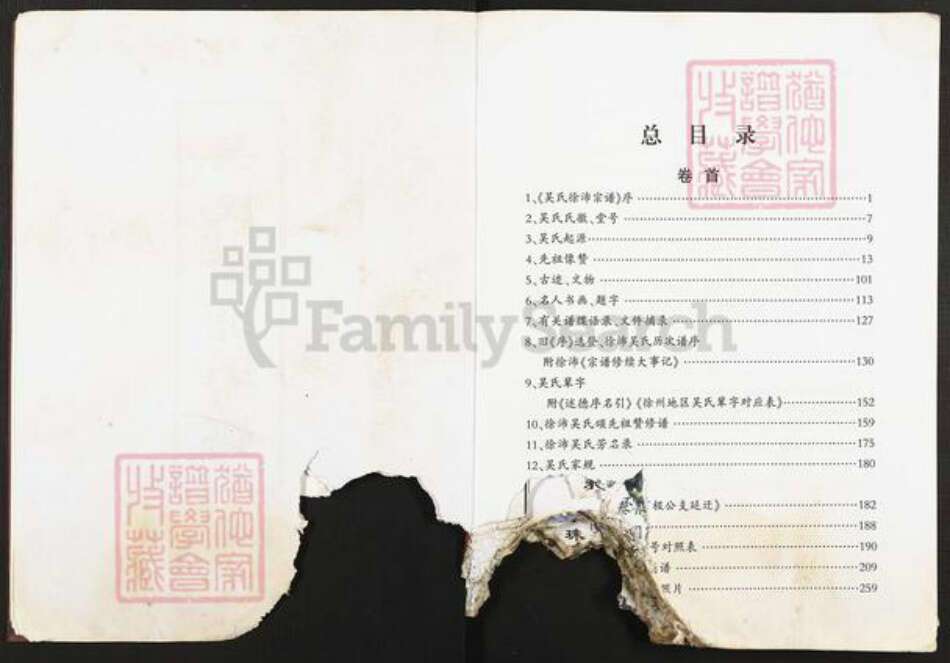 江苏省徐州市沛县张庄镇吴氏梅里堂族谱-吴氏徐沛宗谱.pdf电子版预览图2