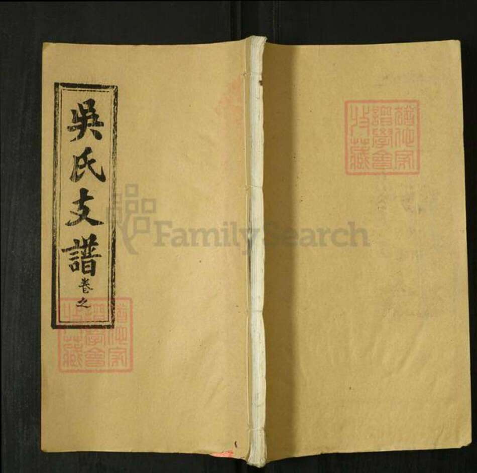 湖北省黄冈市英山县吴氏延陵堂族谱-吴氏支谱.pdf电子版缩略图