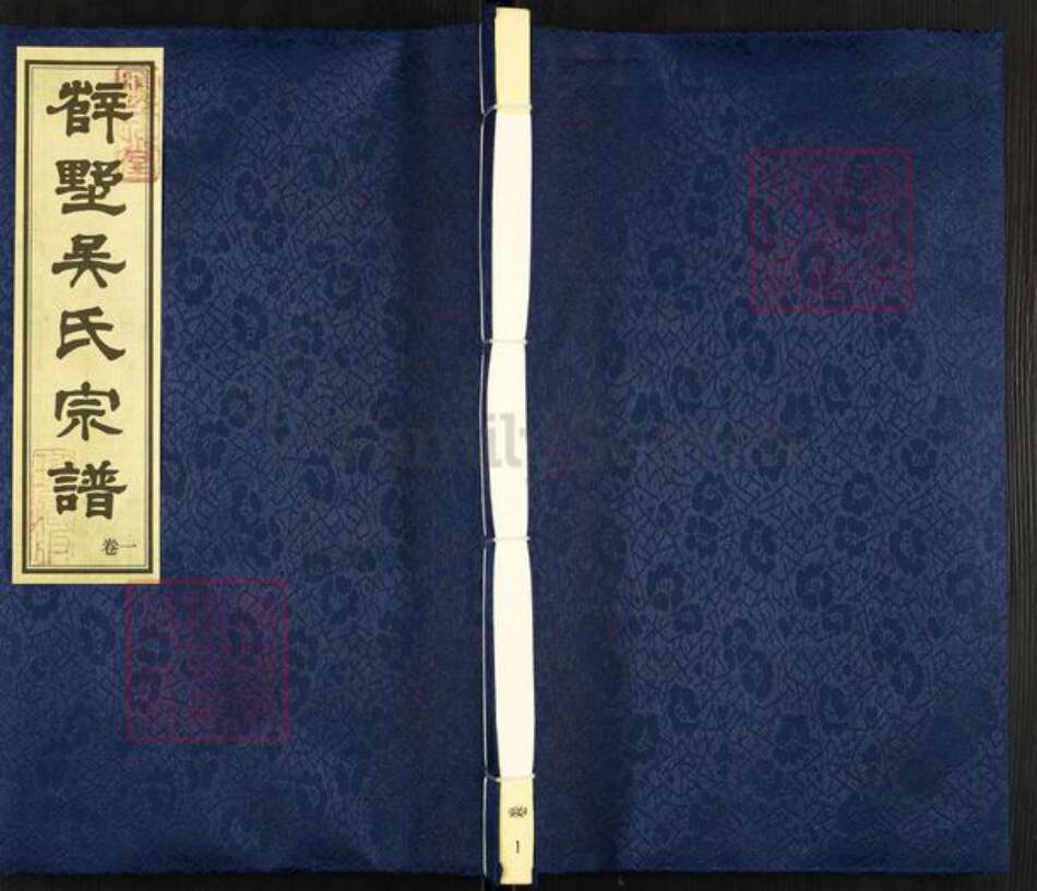 江苏省常州市武进县遥观镇吴氏履成堂族谱-辥墅吴氏宗谱.pdf电子版缩略图