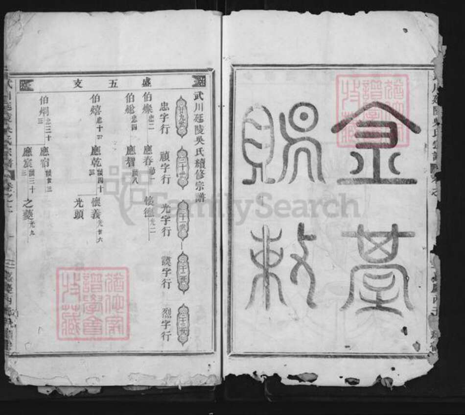 浙江省金华市武义县吴氏族谱-武川延陵吴氏宗谱.pdf电子版预览图4