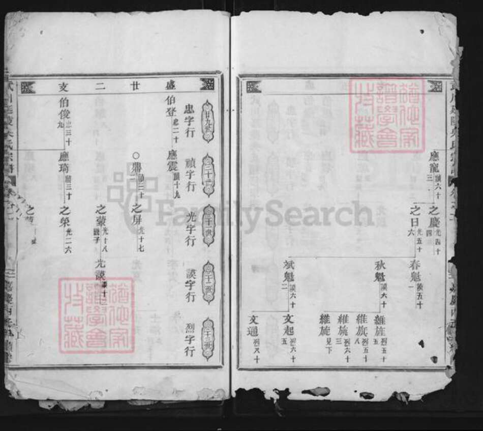 浙江省金华市武义县吴氏族谱-武川延陵吴氏宗谱.pdf电子版预览图5