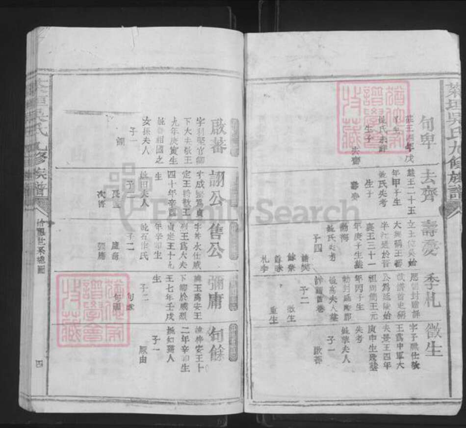 福建省三明市宁化县安远镇吴氏族谱-茶垣吴氏九修族谱.pdf电子版预览图3