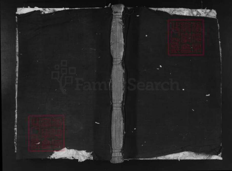 浙江省丽水市松阳县玉岩镇吴氏族谱-周安吴氏宗谱.pdf电子版缩略图