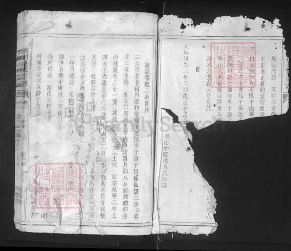 浙江省丽水市龙泉市城北乡吴氏恒信堂族谱-陂川吴氏宗谱.pdf电子版预览图2