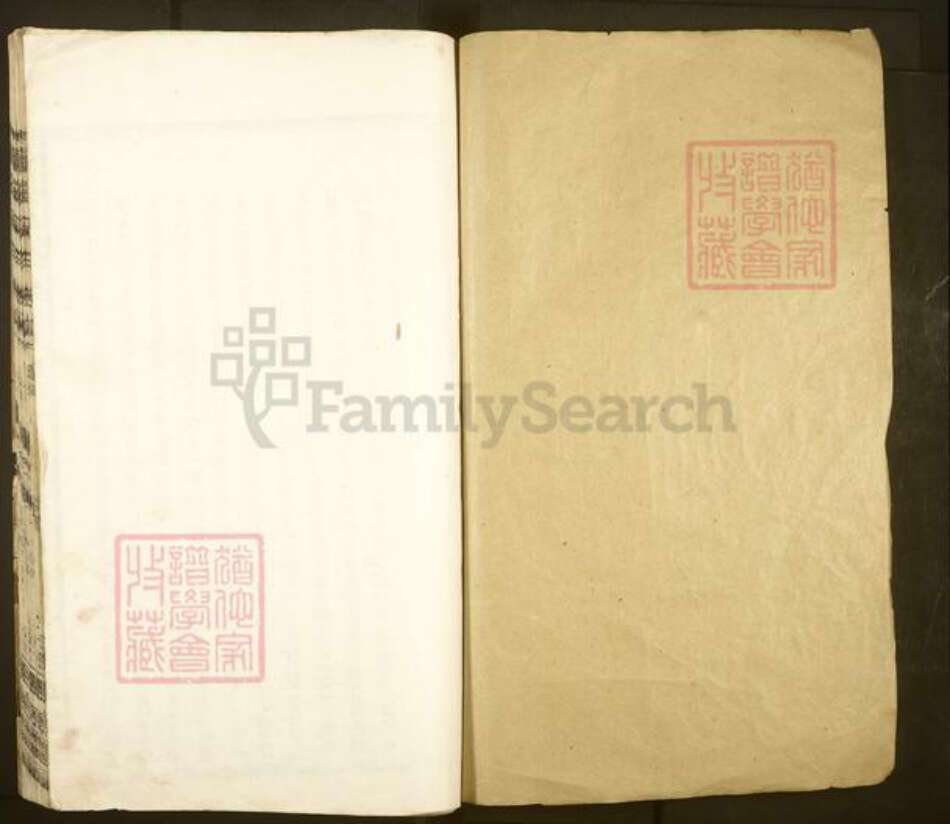 江西省南昌市进贤县罗溪镇吴氏至德堂族谱-罗溪吴氏族谱.pdf电子版预览图1