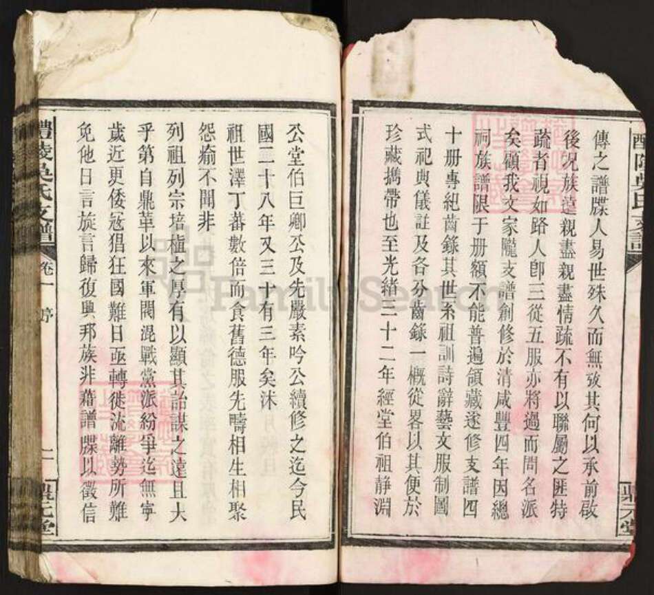 湖南省株洲市醴陵市沩山镇吴氏鼎元堂族谱-醴陵吴氏支谱.pdf电子版预览图3