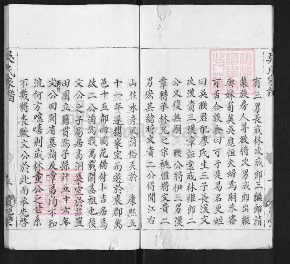 福建省龙岩市武平县永平乡吴氏覆𨛦堂族谱-吴氏家谱.pdf电子版预览图2