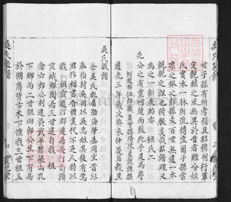 福建省龙岩市武平县永平乡吴氏覆𨛦堂族谱-吴氏家谱.pdf电子版预览图4