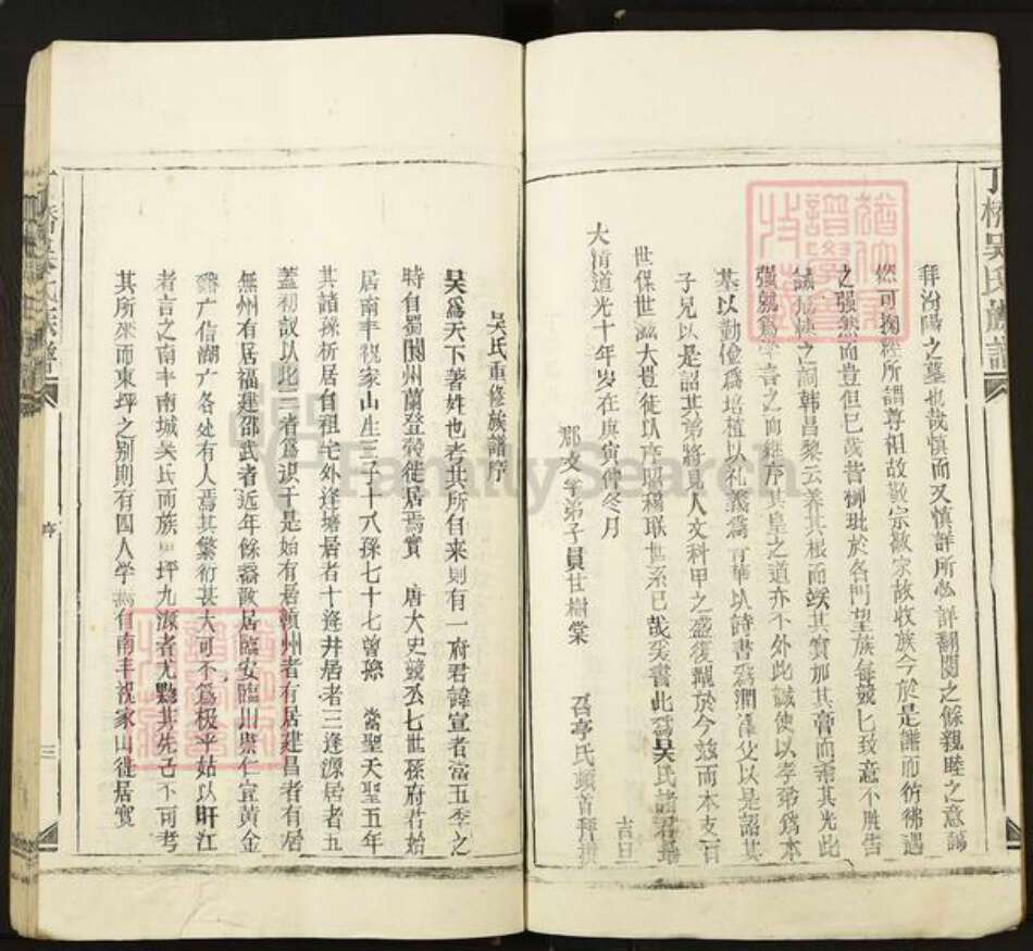 江西省宜春市丰城市桥东镇吴氏族谱-丁桥吴氏族谱.pdf电子版预览图3