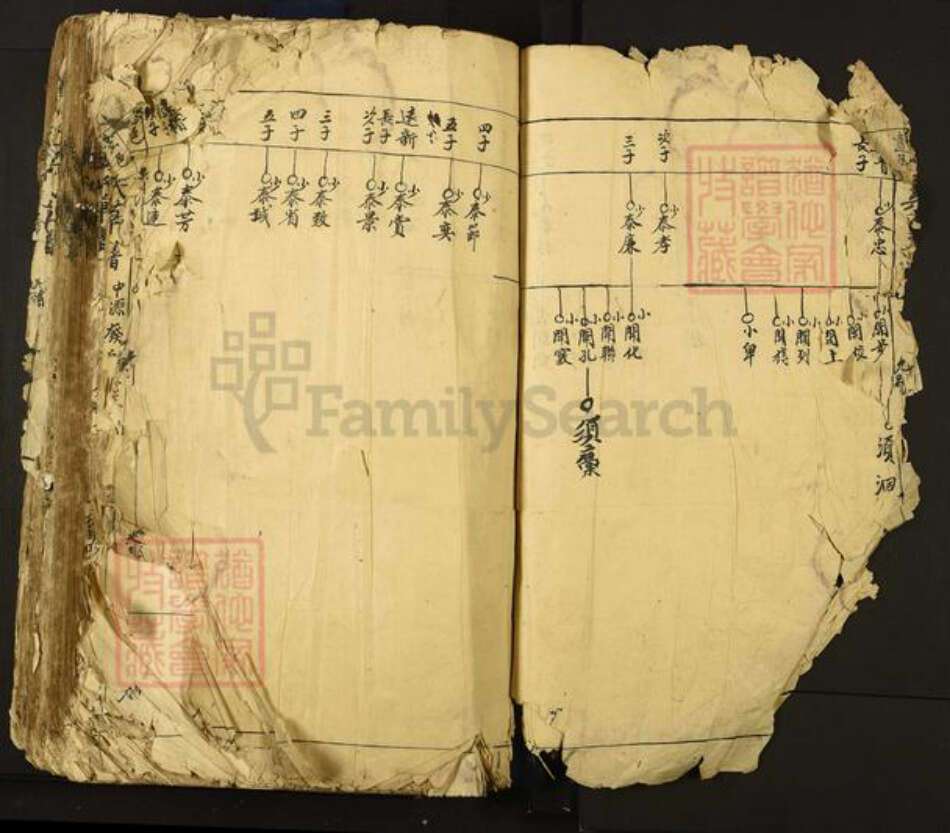 江西省宜春市丰城市吴氏族谱-丰邑罗山吴氏草谱.pdf电子版预览图1