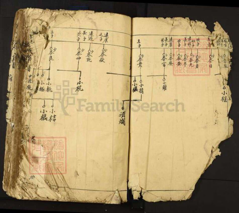 江西省宜春市丰城市吴氏族谱-丰邑罗山吴氏草谱.pdf电子版预览图2