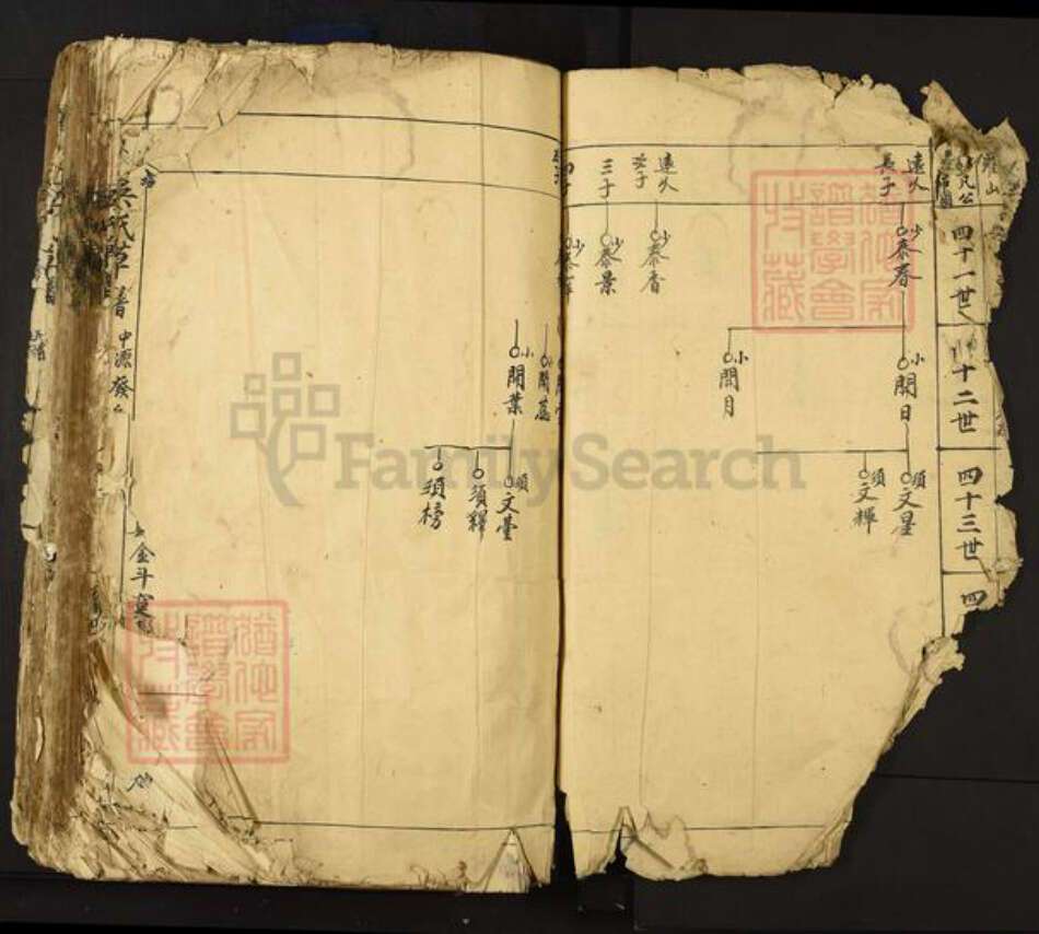 江西省宜春市丰城市吴氏族谱-丰邑罗山吴氏草谱.pdf电子版预览图3