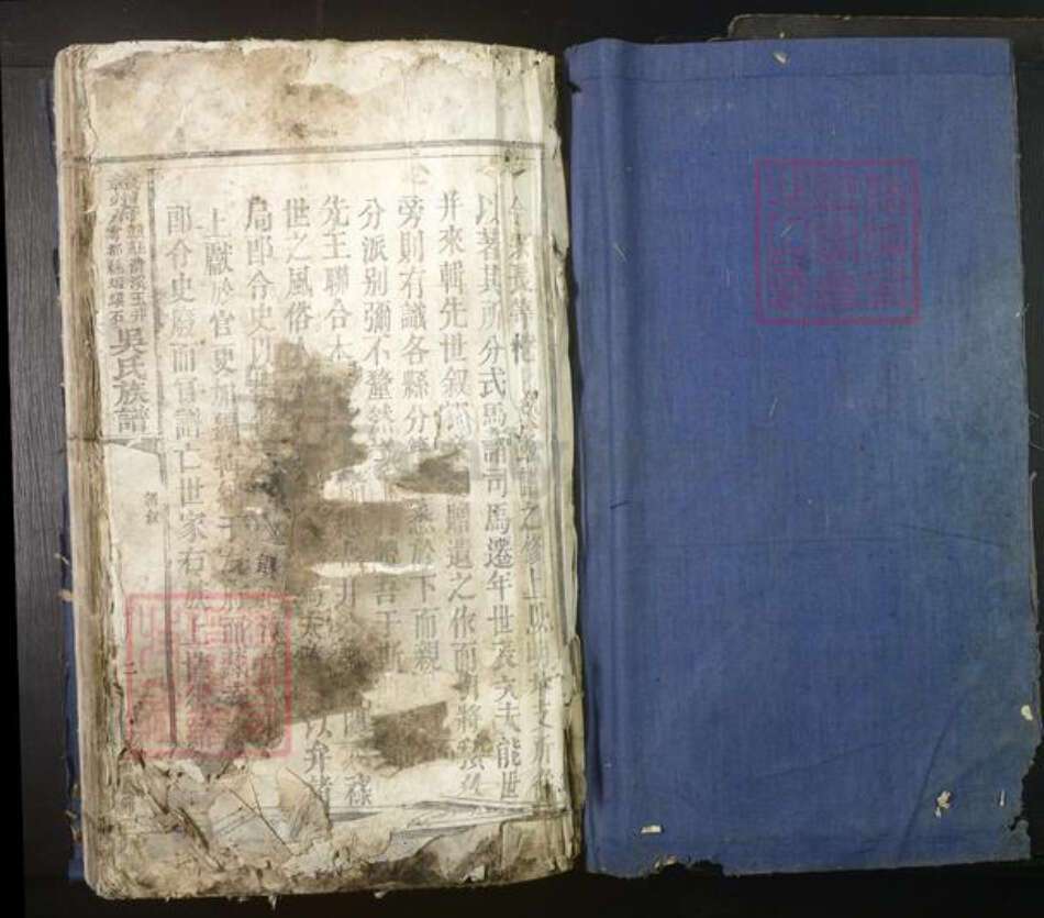 江西省赣州市吴氏族谱-赣州府.赣县清溪玉井.雩都虾蟆石.吴氏族谱[不分卷].pdf电子版预览图1