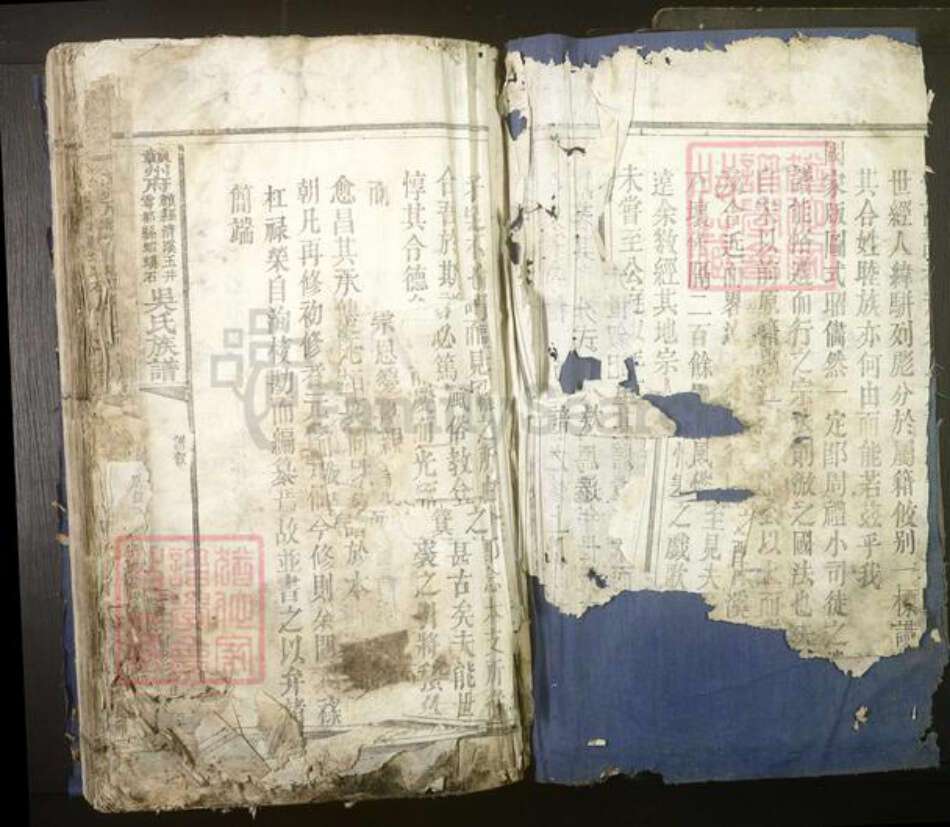 江西省赣州市吴氏族谱-赣州府.赣县清溪玉井.雩都虾蟆石.吴氏族谱[不分卷].pdf电子版预览图2