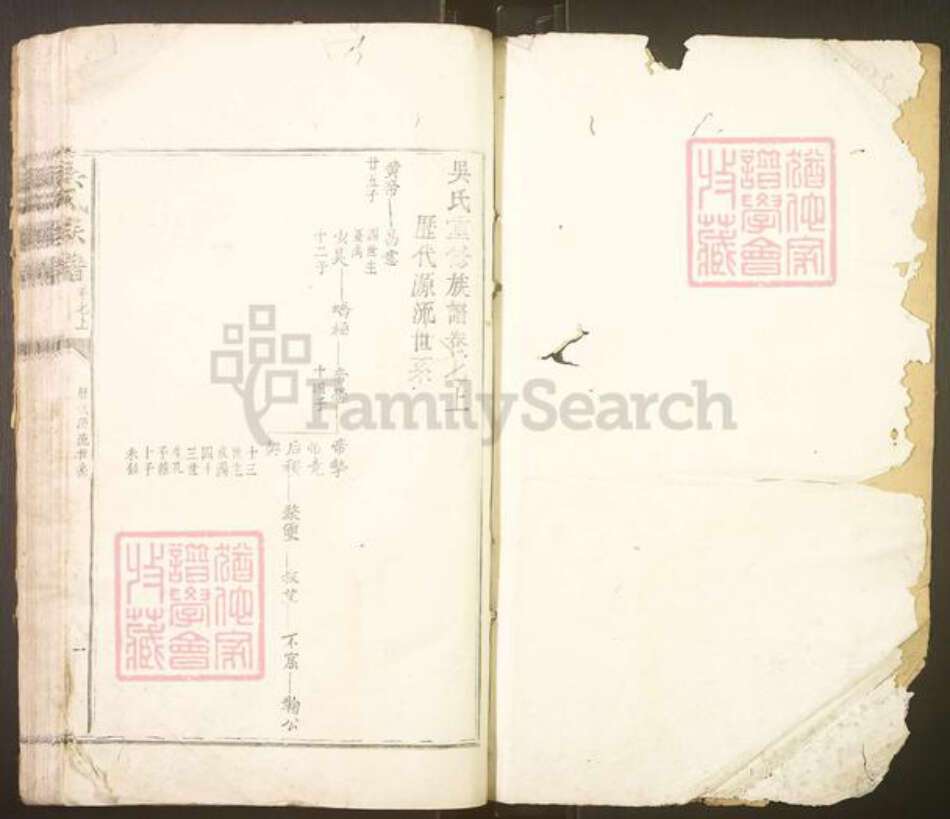 福建省南平市邵武市吴氏族谱-吴氏宗谱.pdf电子版预览图1