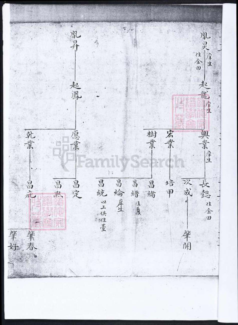 福建省泉州市吴氏族谱-[吴氏]谱稿.鹏峰公三房派下(内附金田派).pdf电子版预览图3
