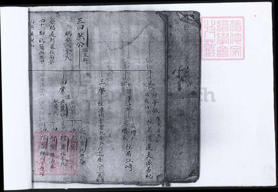 福建省泉州市吴氏族谱-鸡峰吴氏开分三房族谱.pdf电子版预览图4