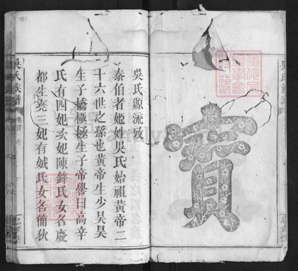 湖南省益阳市吴氏族谱-吴氏族谱.pdf电子版预览图3