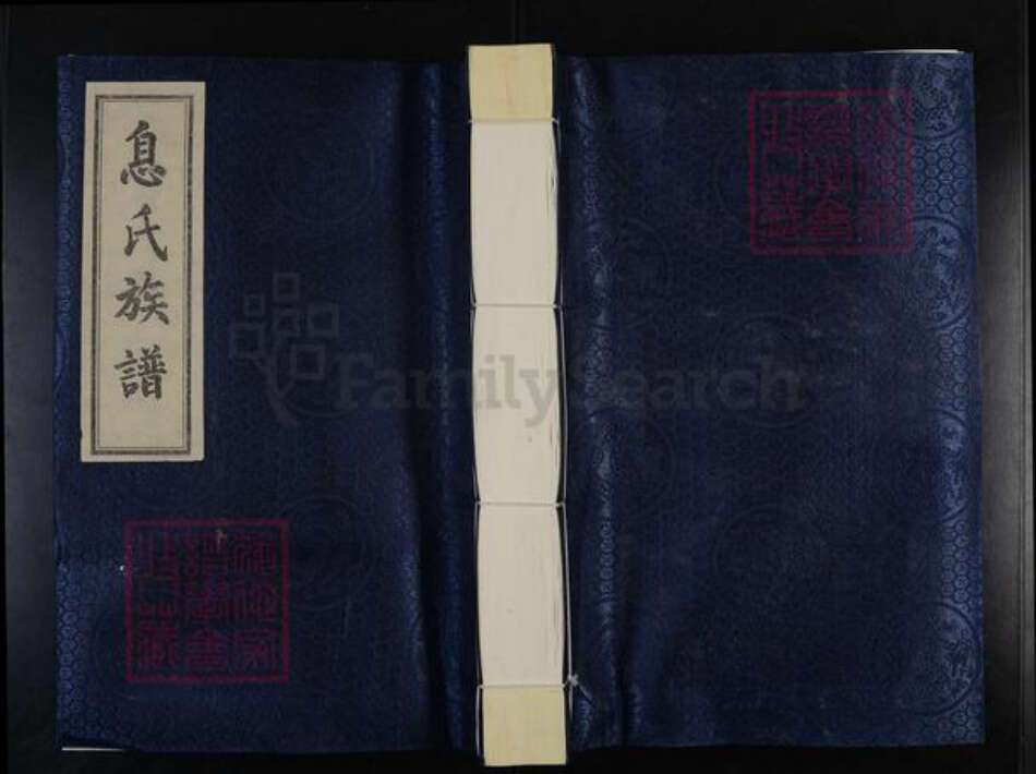 河北省沧州东光县息氏族谱-息氏族谱.pdf电子版缩略图