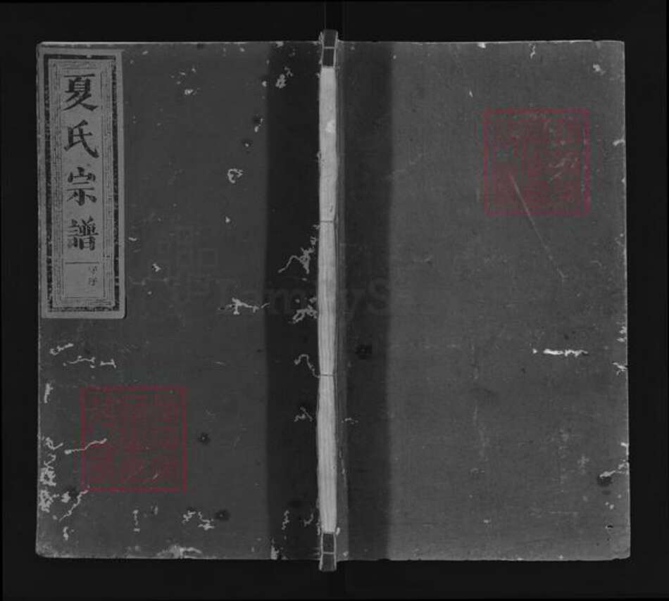 江西省抚州市南丰县东坪乡夏氏族谱-夏氏宗谱.pdf电子版缩略图