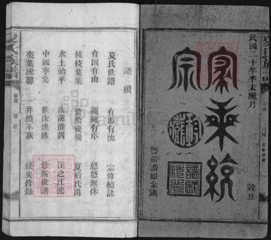 江西省抚州市南丰县东坪乡夏氏族谱-夏氏宗谱.pdf电子版预览图1