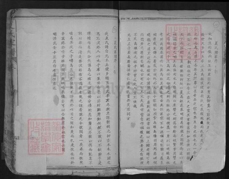 湖北省孝感市孝南区杨店镇夏氏福荫堂族谱-夏氏家谱.pdf电子版预览图1