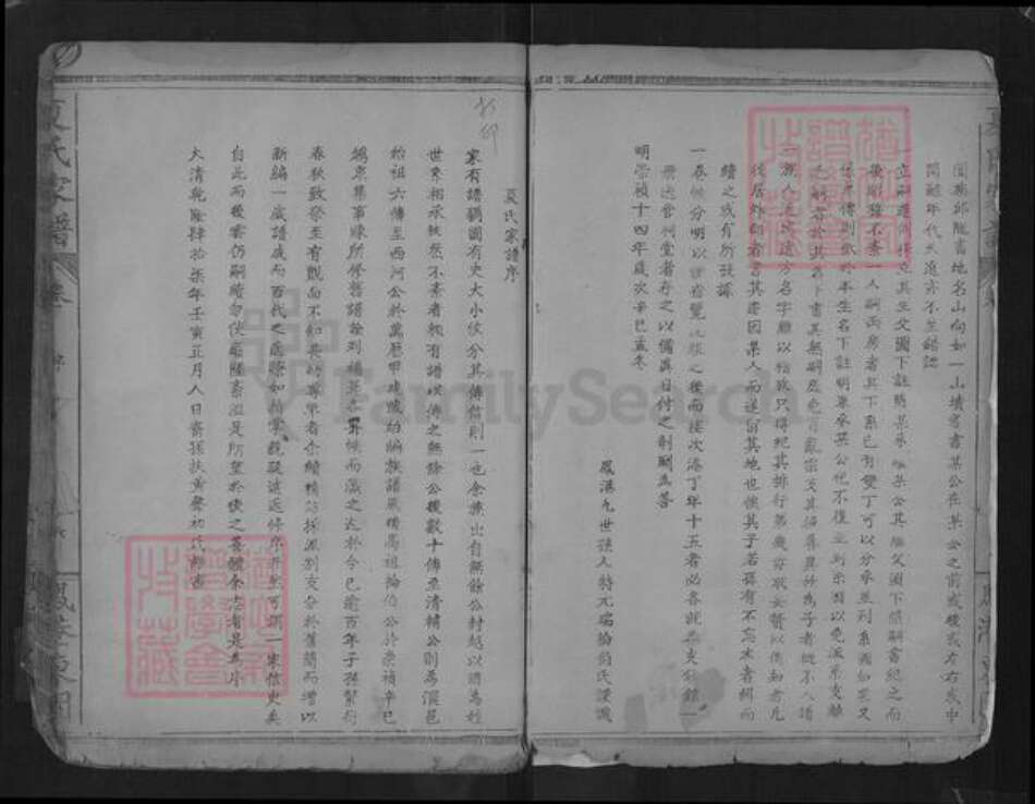 湖北省孝感市孝南区杨店镇夏氏福荫堂族谱-夏氏家谱.pdf电子版预览图4