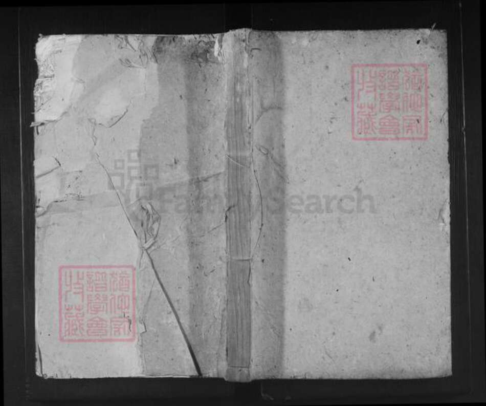 湖北省咸宁市通山县夏氏植本堂族谱-夏氏宗谱.pdf电子版缩略图