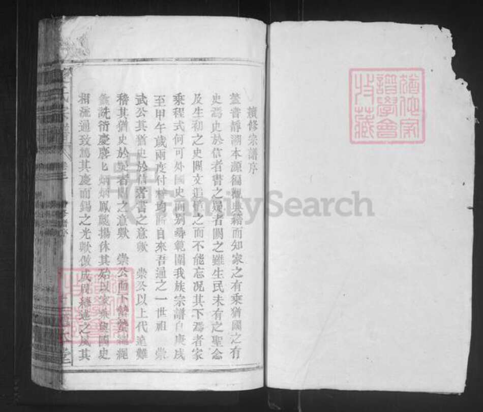 湖北省咸宁市通山县夏氏植本堂族谱-夏氏宗谱.pdf电子版预览图1