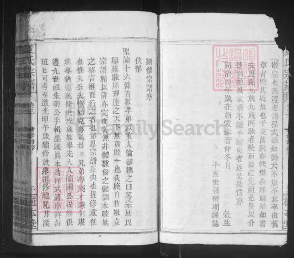 湖北省咸宁市通山县夏氏植本堂族谱-夏氏宗谱.pdf电子版预览图2