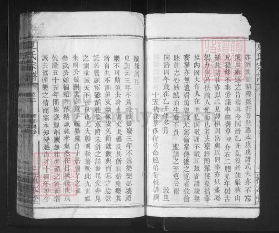 湖北省咸宁市通山县夏氏植本堂族谱-夏氏宗谱.pdf电子版预览图3