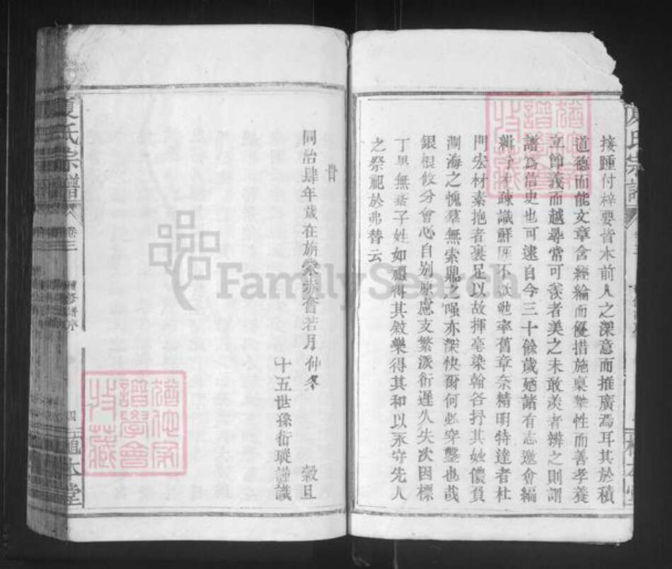 湖北省咸宁市通山县夏氏植本堂族谱-夏氏宗谱.pdf电子版预览图4