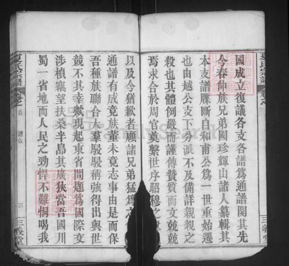 湖北省黄冈市罗田县大崎镇夏氏三义堂族谱-夏氏宗谱.pdf电子版预览图3