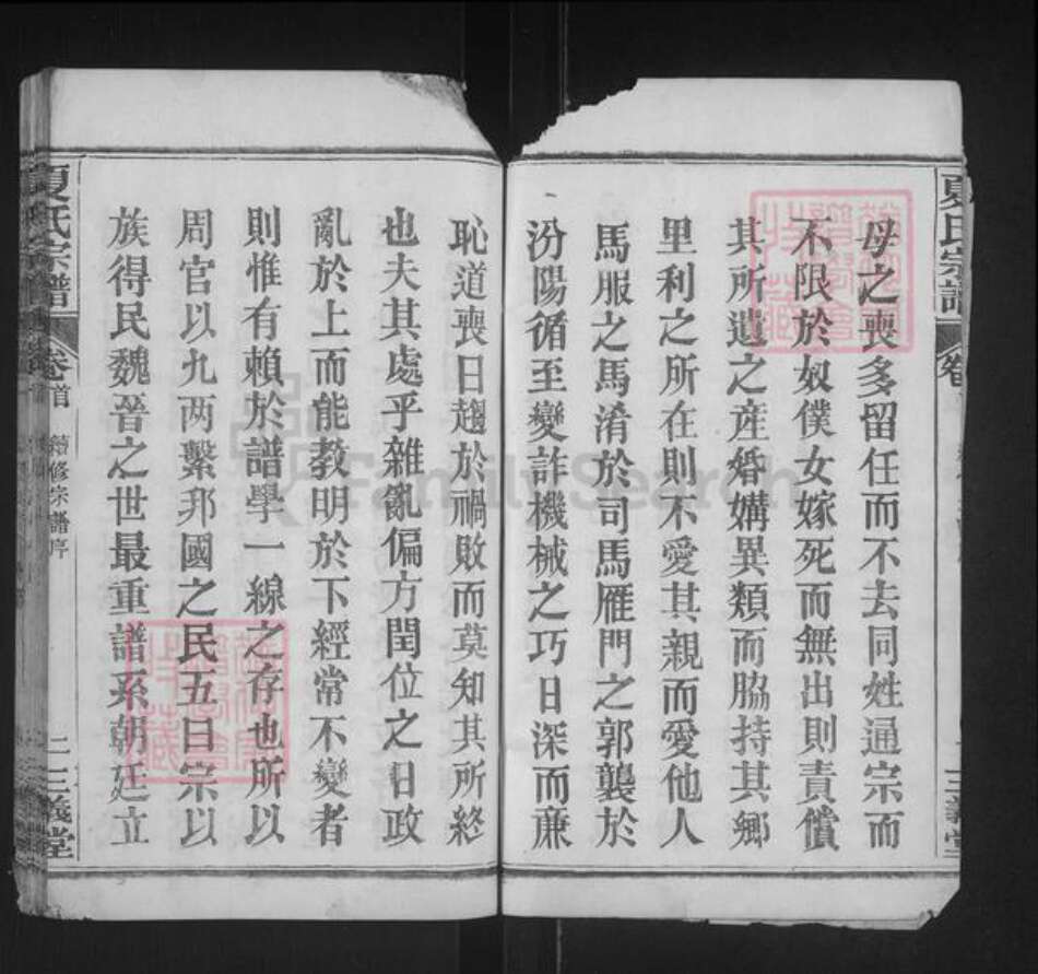 湖北省黄冈市罗田县大崎镇夏氏三义堂族谱-夏氏宗谱.pdf电子版预览图3