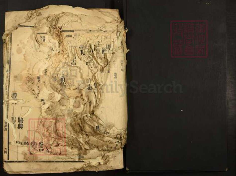 广东省夏氏族谱-广东夏氏五修族谱.pdf电子版预览图1