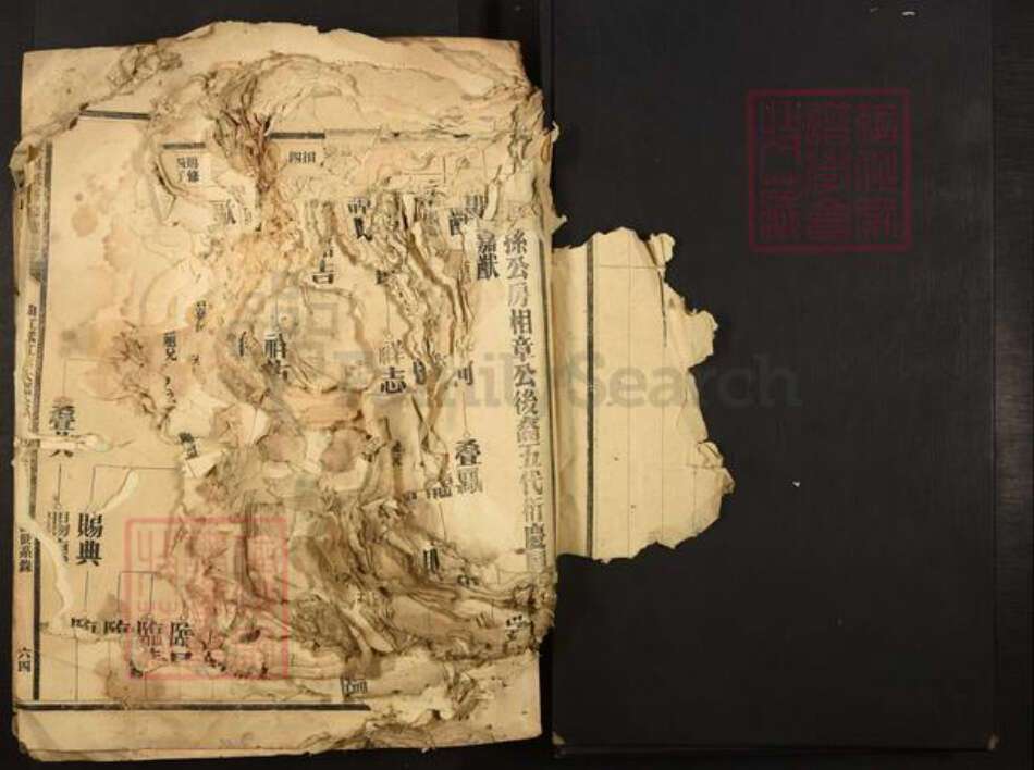 广东省夏氏族谱-广东夏氏五修族谱.pdf电子版预览图2