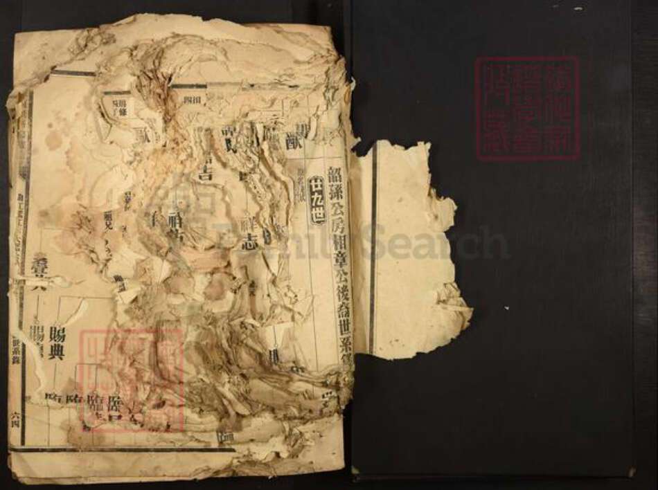 广东省夏氏族谱-广东夏氏五修族谱.pdf电子版预览图3