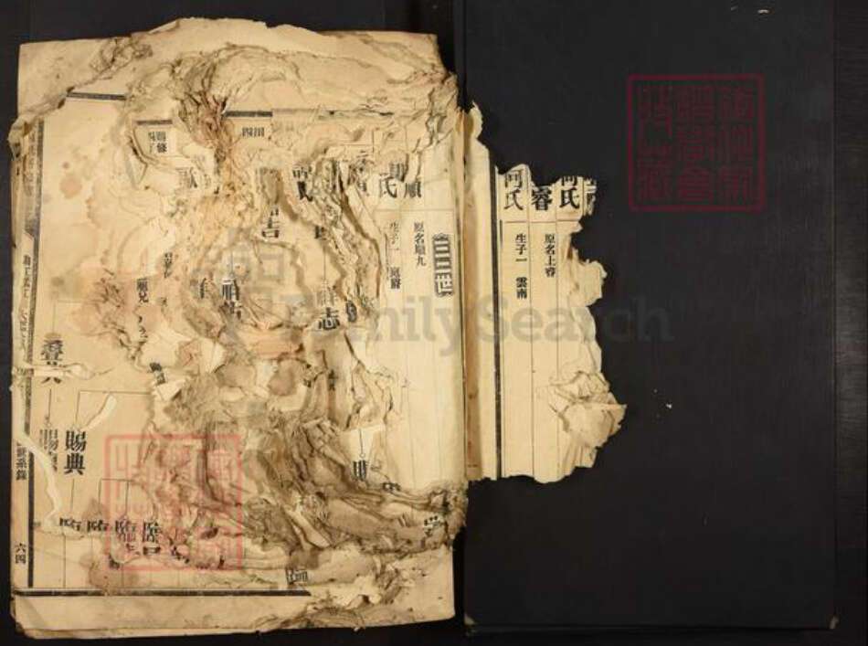 广东省夏氏族谱-广东夏氏五修族谱.pdf电子版预览图4