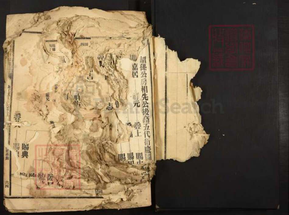 广东省夏氏族谱-广东夏氏五修族谱.pdf电子版预览图5