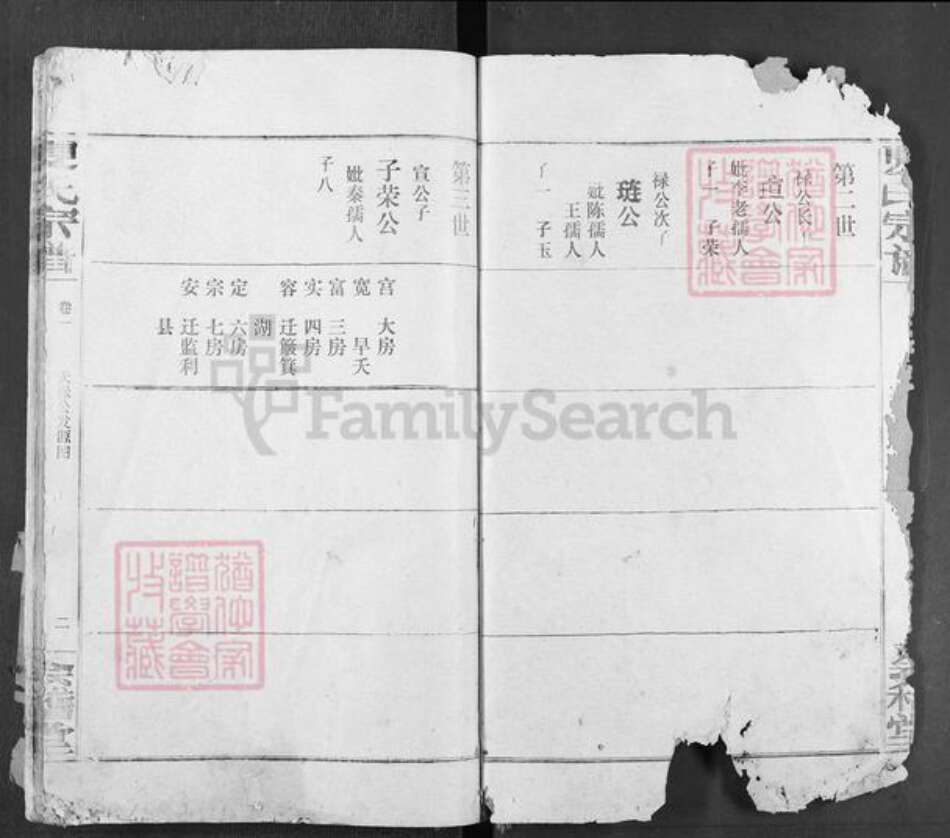 湖北省仙桃市夏氏会稽堂族谱-夏氏宗谱.pdf电子版预览图2