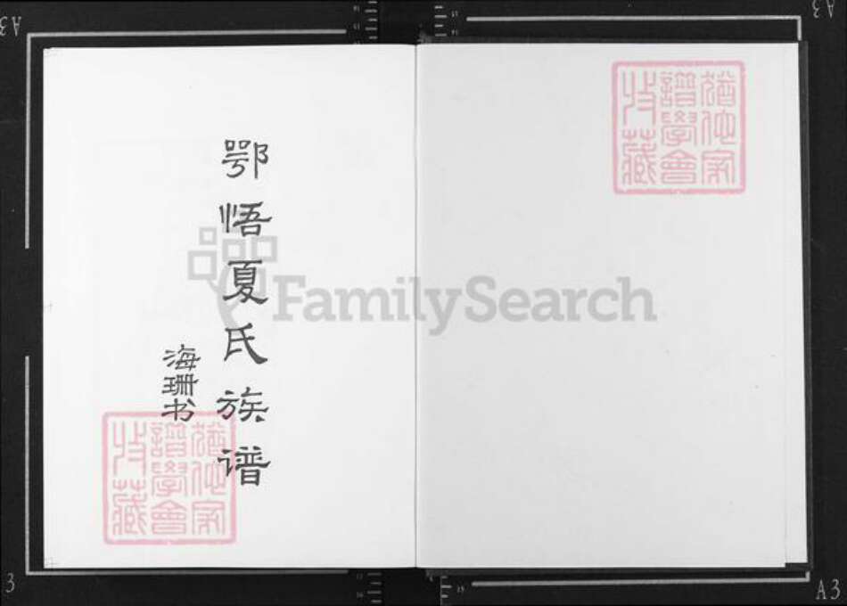 湖北省孝感市大悟县夏店镇夏氏族谱-鄂悟夏氏族谱.pdf电子版预览图1