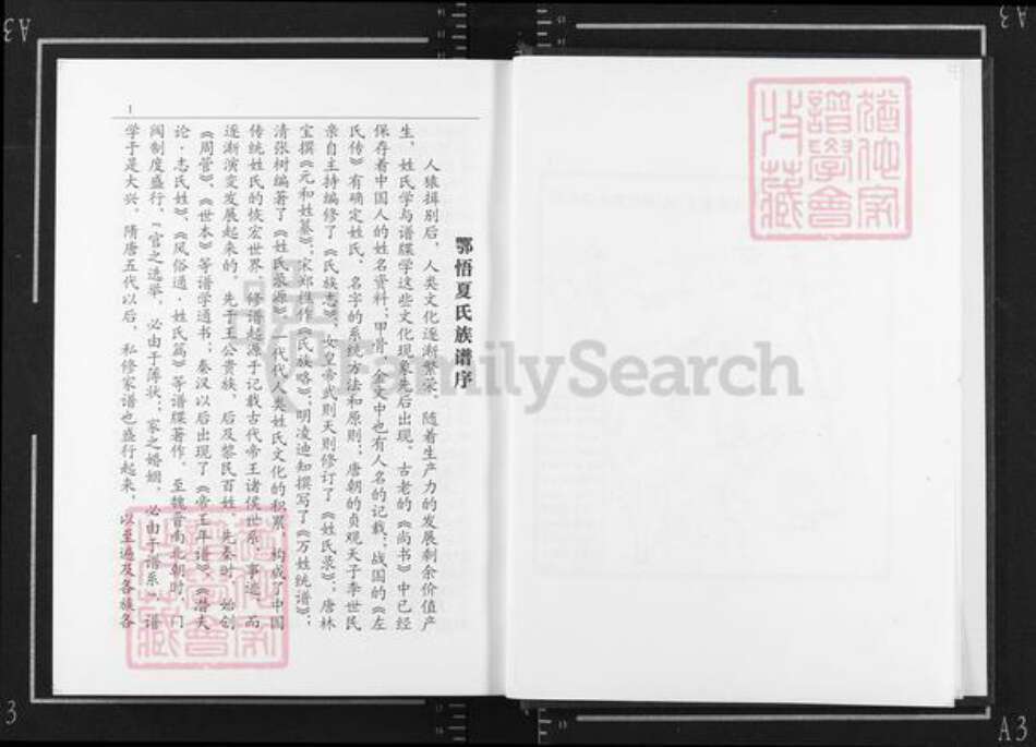 湖北省孝感市大悟县夏店镇夏氏族谱-鄂悟夏氏族谱.pdf电子版预览图3