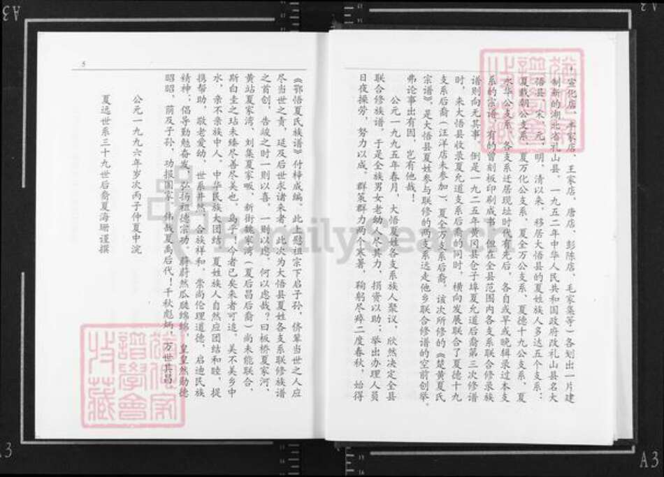 湖北省孝感市大悟县夏店镇夏氏族谱-鄂悟夏氏族谱.pdf电子版预览图5