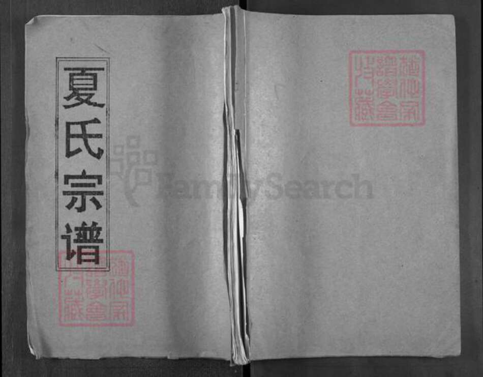 湖北省武汉市新洲区涨渡湖街道夏氏族谱-夏氏宗谱.pdf电子版缩略图